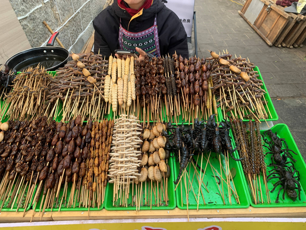 grubs and locusts