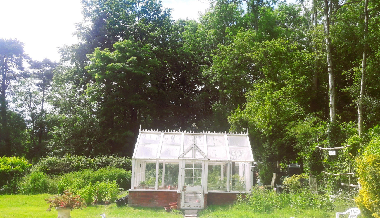 My self-built greenhouse.